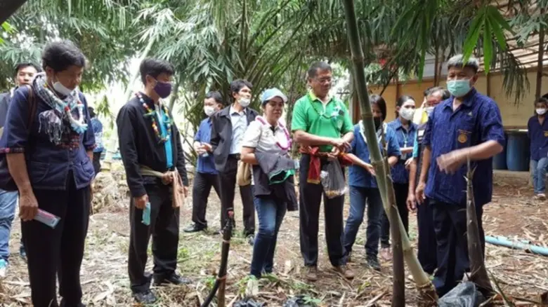 แปลงใหญ่ไผ่ อ.ท่าตะเกียบ จ.ฉะเชิงเทรา รางวัลชนะเลิศ ระดับเขต ปี 2563