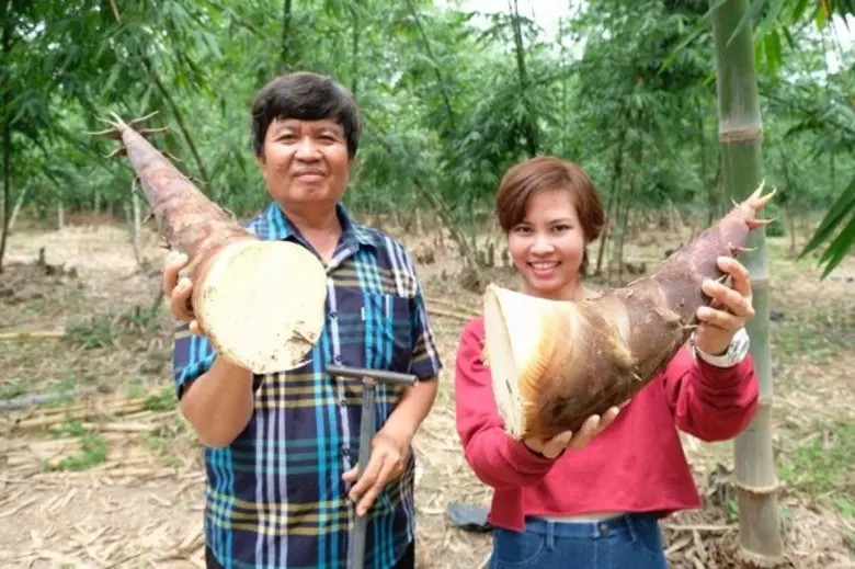 แปลงใหญ่ไผ่ อ.ท่าตะเกียบ จ.ฉะเชิงเทรา รางวัลชนะเลิศ ระดับเขต ปี 2563