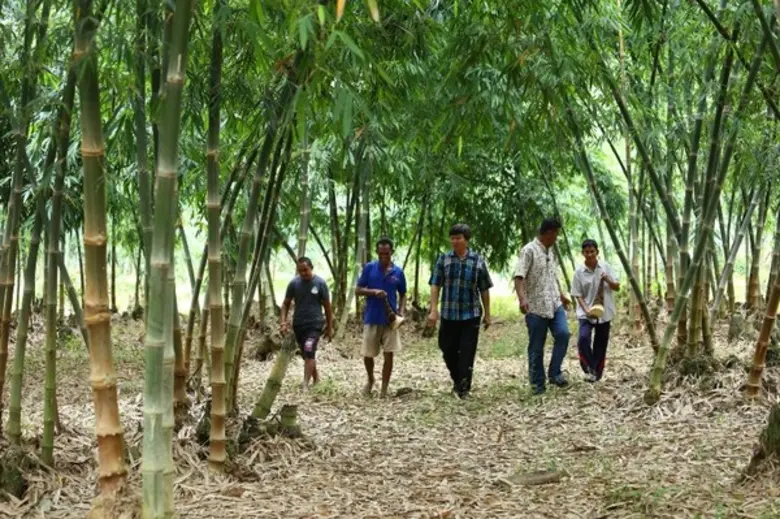 แปลงใหญ่ไผ่ อ.ท่าตะเกียบ จ.ฉะเชิงเทรา รางวัลชนะเลิศ ระดับเขต ปี 2563