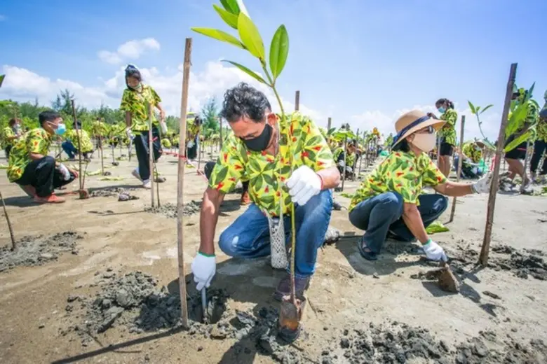 Dow -ทช. - IUCN ร่วมต้านโลกร้อน ลดขยะทะเลตั้งเป้ายกระดับการอนุรักษ์ป่าชายเลนด้วยคาร์บอนเครดิต