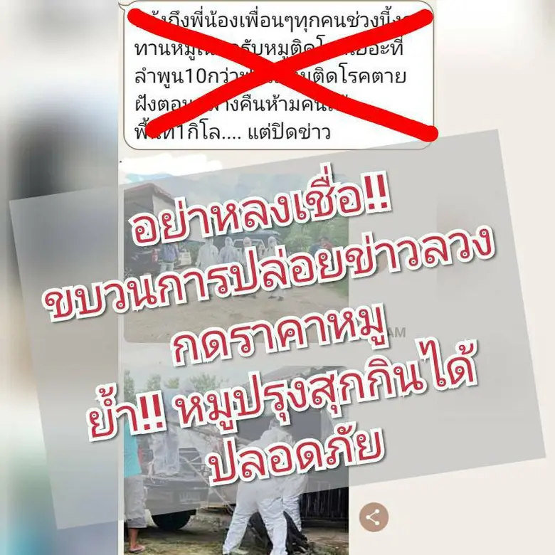 กรมปศุสัตว์ย้ำสุกรกินได้ปลอดภัย เตือนอย่าหลงเชื่อขบวนการปล่อยข่าวลวง กดราคาสุกรซ้ำเติมเกษตรกร