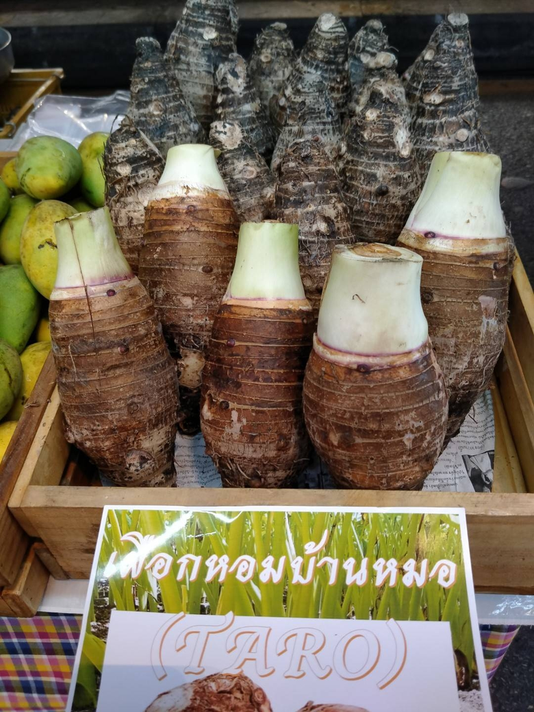 ไม่ต้องเดินทางไปทั่วประเทศ ศูนย์การค้าเอ็...