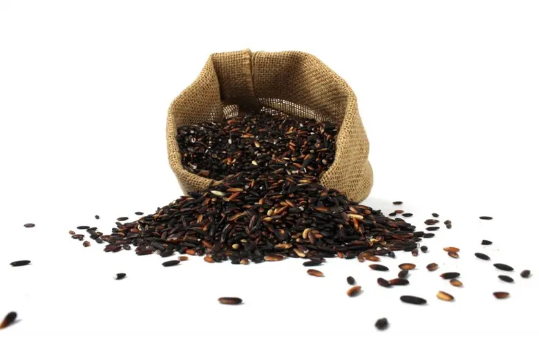 20 ไฮไลท์ห้ามพลาด! สวรรค์ของนักชิม นักช้อป ในงาน GI Fest @ เอ็ม บี เค เซ็นเตอร์  สินค้าสิ่งบ่งชี้ทางภูมิศาสตร์จากชุมชนทั่วประเทศ