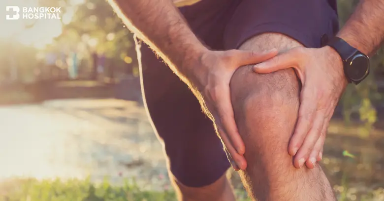 “ข้อเข่า” ทำหน้าที่ในการรับน้ำหนักตัวเกือ...