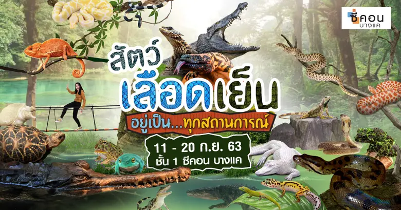 “ซีคอน บางแค” ชวนสร้างประสบการณ์และศึกษาธ...