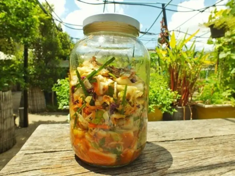 สามพรานโมเดล อะคาเดมี่ เติมความรู้เรื่องสุขภาพ สอนทำ "กิมจิผักออร์แกนิก" สูตรคนไทยรสชาติเกาหลี