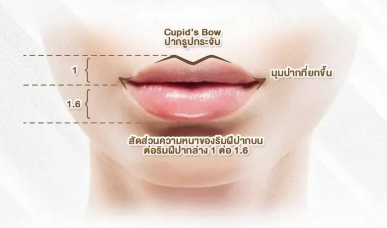 เทรนด์ใหม่! ทำปากกระจับ  ปากสวย อวบอิ่ม ด้วยฟิลเลอร์ HA เสริมเสน่ห์ สร้างความมั่นใจ หนุ่ม – สาว ไม่ควรพลาด