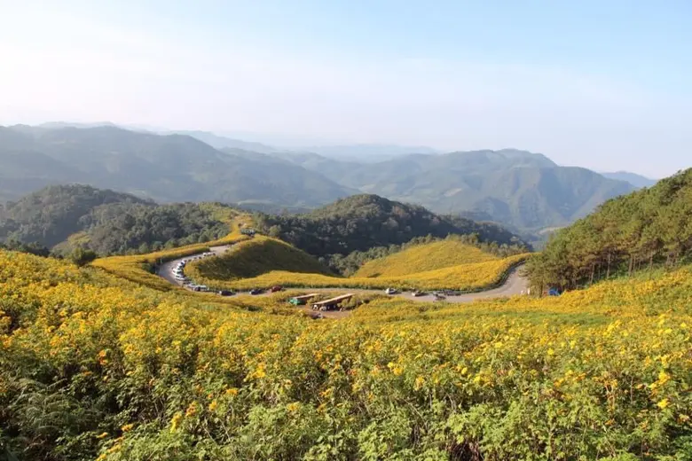 DPU แนะฟื้นท่องเที่ยว ชูสร้างค่านิยมไทย สนับสนุนท้องถิ่น ชี้ ผปก.ศึกษาผู้บริโภคใน ปท. ก่อนแยกทำตลาดเฉพาะกลุ่ม