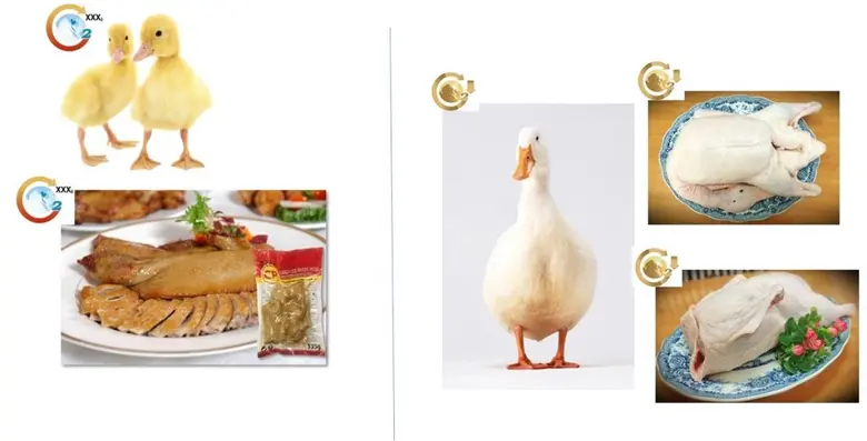 ซีพีเอฟ ชูผลิตภัณฑ์รักษ์โลกบรรลุรายได้ 30% ปี 2563 เดินหน้าสร้างสมดุลสิ่งแวดล้อมมุ่งสู่ “ธุรกิจสีเขียว”