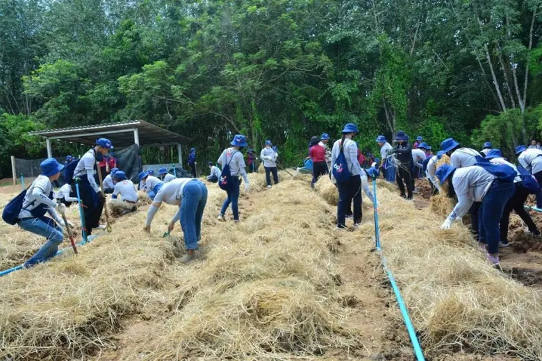 มูลนิธิ EDF ร่วมกับเดอเบล จัดกิจกรรม “TCP Spirit” สร้างหลุมพอเพียง สร้างเสบียงหลังบ้าน สร้างงานสวนครัวในโรงเรียน