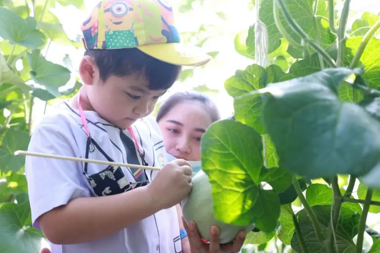 สาธิตกรุงเทพธนฯ ให้ นร. ลงมือปฏิบัติจริง ผุดโครงการ 'เมล่อนของหนู' ปี 2 ต่อเนื่อง
