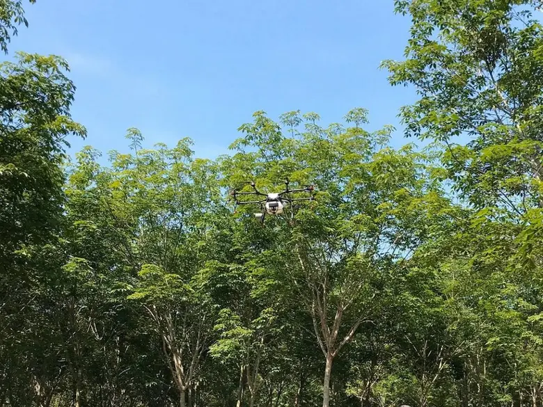 การยางแห่งประเทศไทย (กยท.) อัปเดตสถานการณ์โรคใบร่วงชนิดใหม่ยางพารา ยังคงเกาะติดเดินหน้า เร่งแก้ปัญหาโรคใบร่วงชนิดใหม่