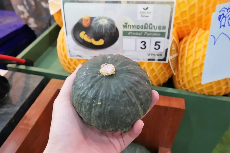 เจียไต๋ นำทัพสินค้าเกษตรพร้อมโปรโมชั่นสุดคุ้ม ในงานบ้านแอนด์บียอนด์ เอ็กซ์โป 2020