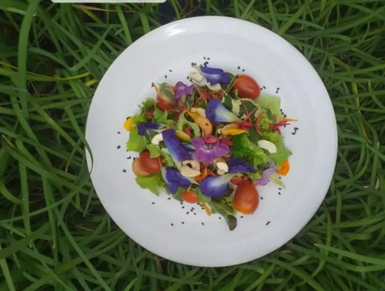 เวิร์คช็อปคลีนๆ 4 สูตรเด็ด!!...“น้ำสลัดออร์แกนิก”