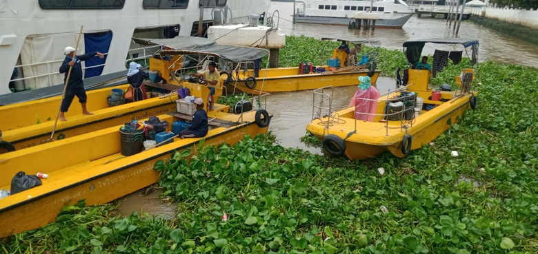 นายณรงค์ เรืองศรี ผู้อำนวยการสำนักการระบา...