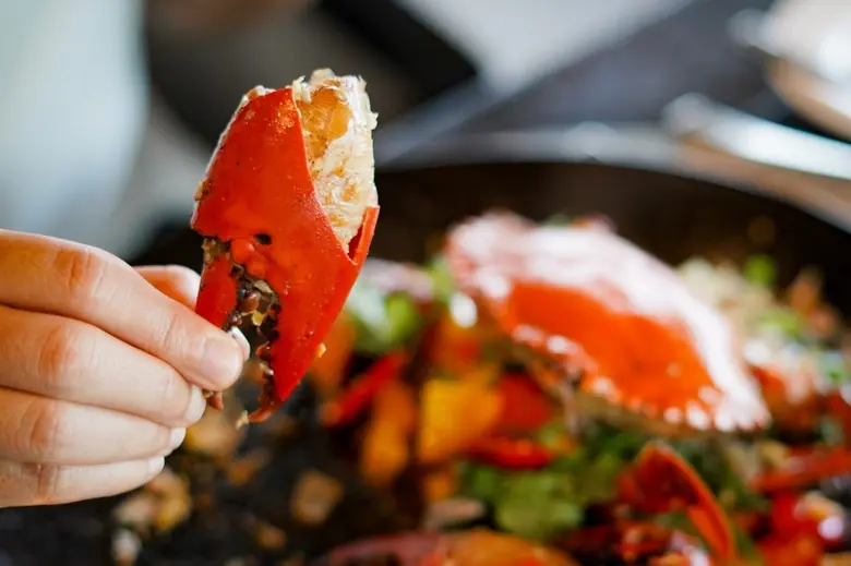 ลิ้มลองรสชาติปูทะเลเนื้อแน่น สดใหม่ ตลอดเดือนพฤศจิกายนนี้  ที่ห้องอาหารบิ๊กฟิช แอนด์ บาร์