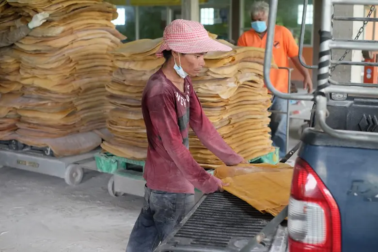 ฉลุย!! โครงการประกันรายได้ชาวสวนยางเฟส 2  พร้อมจ่ายทันทีเดือนนี้แน่นอน