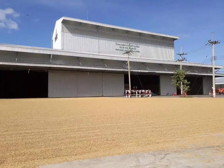 รมช.มนัญญา ขอความร่วมมือสหกรณ์การเกษตรทั่วประเทศเปิดพื้นที่ลานตากให้ชาวนานำข้าวมาตาก หลังมีคนแอบมาเผาข้าวเปลือกที่นำมาตากไว้ตามไหล่ถนน