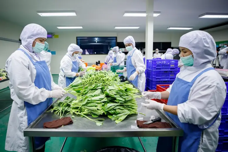 สุวรรณ เอิร์ธ ผู้ผลิตสินค้าเกษตรประเภทผัก...