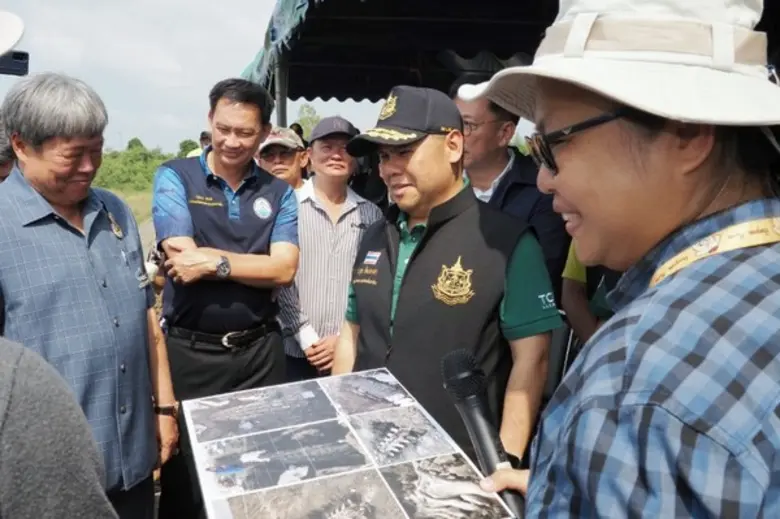 ภายหลังการขุดพบซากโครงกระดูกวาฬอายุประมาณ 3,000 5,0...