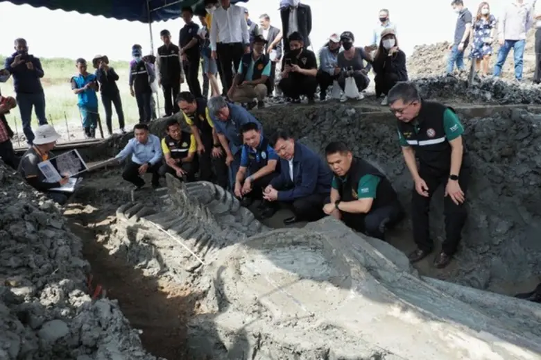 "วราวุธ" ติดตามการขุดค้นซากโครงกระดูกวาฬดึกดำบรรพ์ คาดสายพันธุ์เดียวกับ "บรูด้า" สะท้อนพื้นที่สมบูรณ์มานับพันปี วอนดูแลให้คงอยู่ยั่งยืน