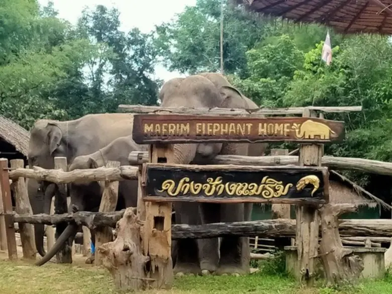 เครือโรงพยาบาลพญาไท-เปาโลร่วมกับสื่อมวลชน...