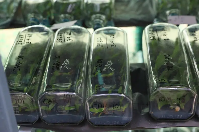 ดิอาจิโอประกาศเป้าหมาย 10 ปีด้านความยั่งยืน  'SOCIETY 2030: SPIRIT OF PROGRESS'