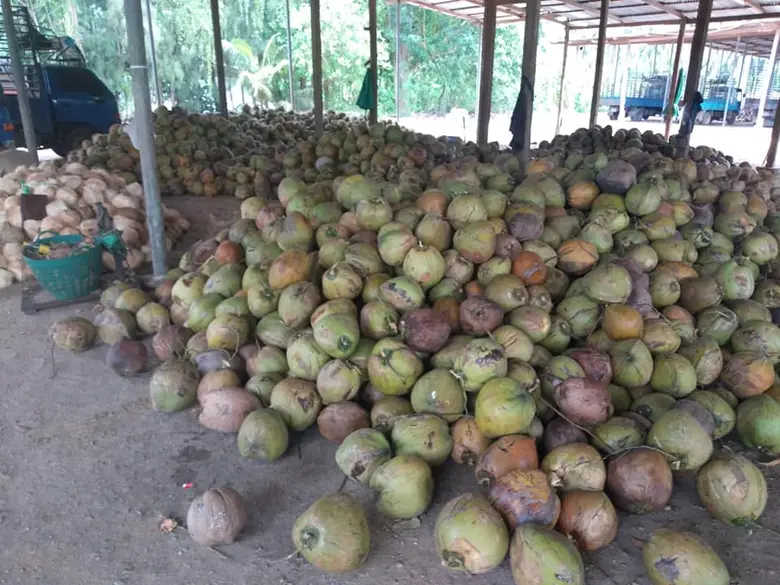 นางอัญชนา ตราโช รองเลขาธิการสำนักงานเศรษฐ...