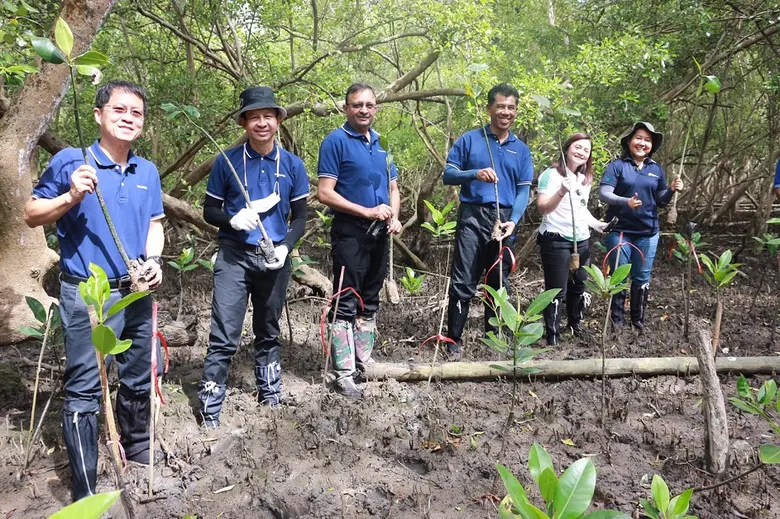 ทาทา สตีล ประเทศไทย และบริษัทในกลุ่มทาทาในประเทศไทย ร่วมทำกิจกรรมจิตอาสาปลูกป่าโกงกางในโครงการ "ปลูกป่า ปลูกชีวิต ถวายในหลวง ปีที่ 9"
