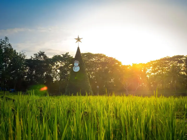 สัมผัสประสบการณ์พักผ่อนกับผองเพื่อนและคนท...