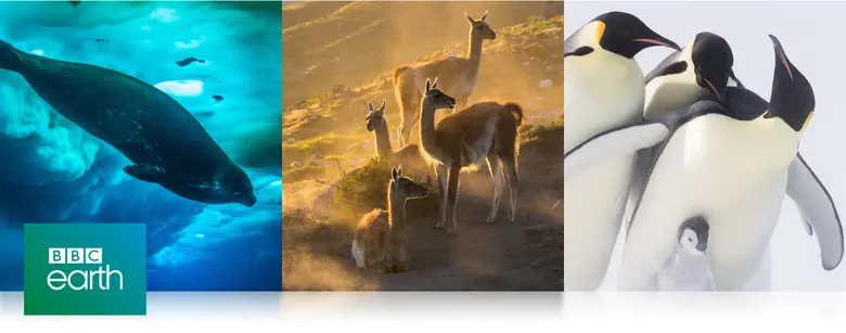 3BB GIGATV จับมือ BBC เปิดตัว 2 ช่องพรีเมียมคุณภาพครั้งแรกในไทย