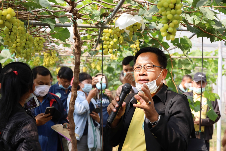 สถาบันวิจัยและพัฒนาพื้นที่สูง (องค์การมหา...