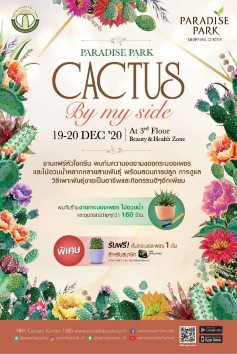 คนรักต้นกระบองเพชร หรือ มือใหม่หัดเลี้ยงแ...