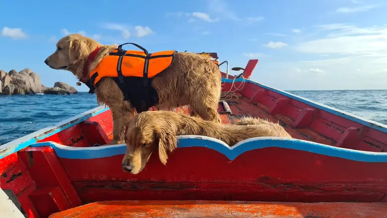 เมื่อพูดถึง "เกาะเต่า" คุณจะนึกถึงชายหาดท...