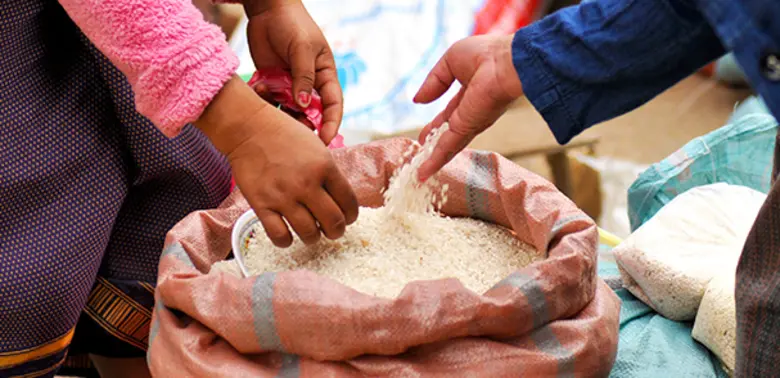 ข้าวเป็นอาหารหลักของโลก เป็นอาหารที่ให้แค...