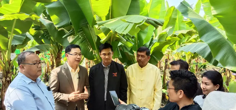 วว. จับมือหน่วยงานเครือข่าย จัดกิจกรรม "กล้วยเตี้ยสู้วาตภัย" @ จังหวัดกำแพงเพชร