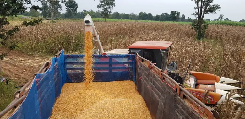 บริษัท เจริญโภคภัณฑ์อาหาร จำกัด (มหาชน) ห...