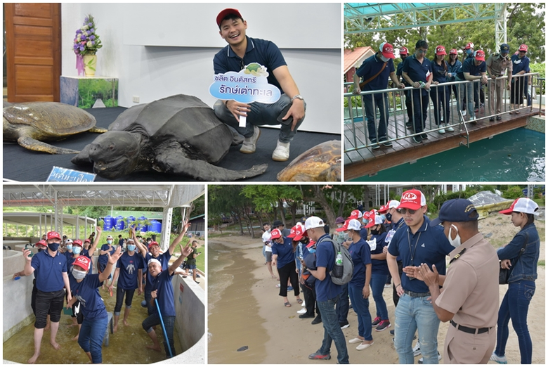 "ชลิต อินดัสทรีฯ" ชวนกันทำดีส่งท้ายปี ร่วมอนุรักษ์เต่าทะเล สัตหีบ จ.ชลบุรี