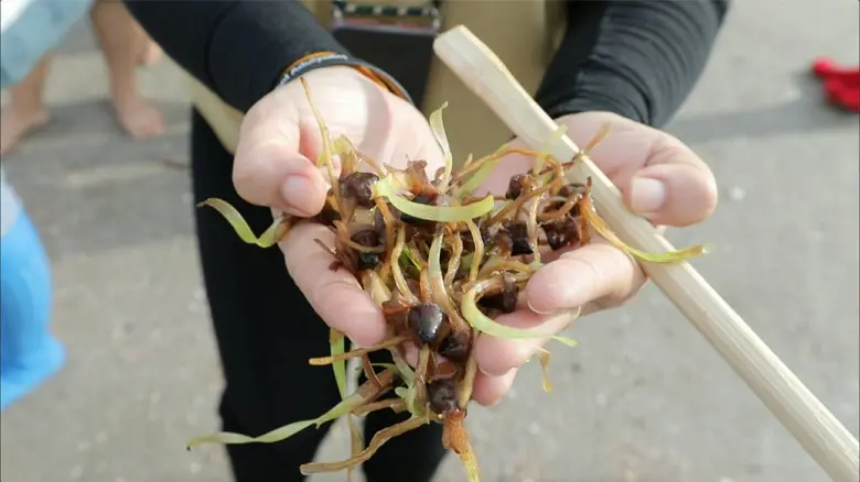 เอสซีจี ผนึกกำลังชุมชน และเครือข่ายเยาวชน จัดกิจกรรม "ปลูกหญ้าทะเลลดโลกร้อน