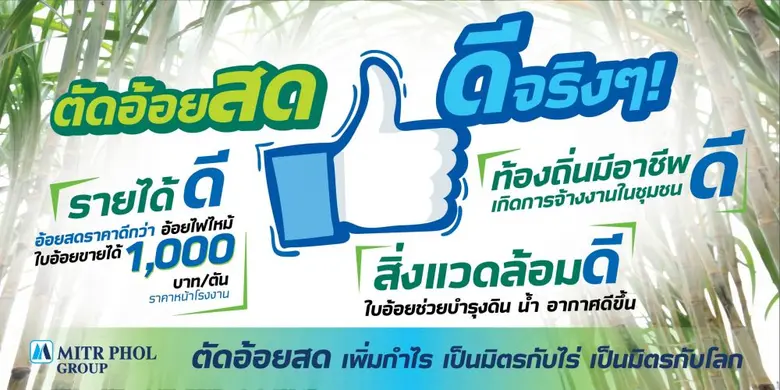 พลิกโฉมภาคเกษตรไทยให้ไร้ฝุ่น มิตรผลชี้ 'เกษตรสมัยใหม่' คือคำตอบ