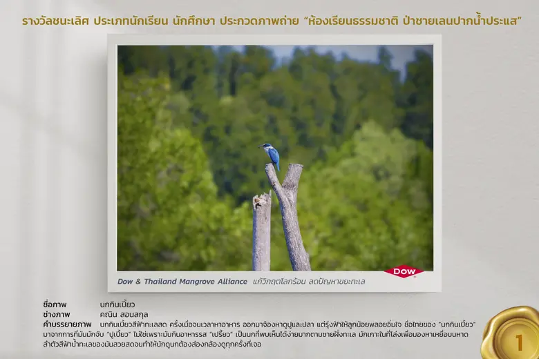 สวยน่าชม! เผยภาพชนะประกวด "ป่าชายเลนปากน้ำประแส" ป่าน่าเที่ยวแห่งจังหวัดระยอง