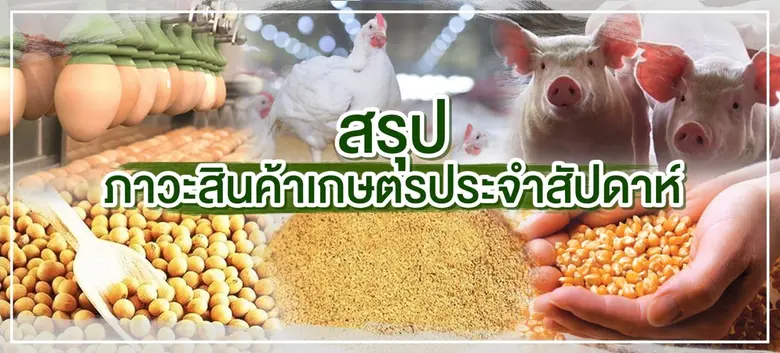 สรุปภาวะสินค้าเกษตรประจำสัปดาห์ วันที่ 21...
