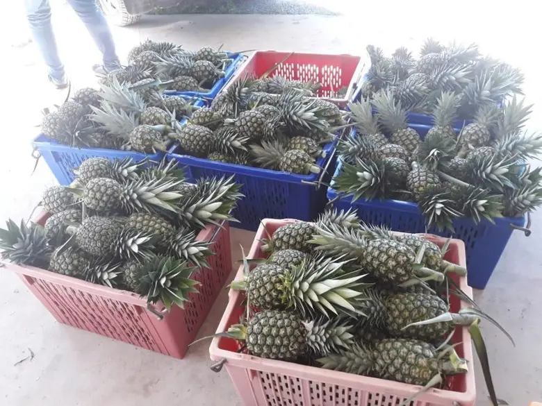 นางสาวรัชนี นาคบุตร รักษาการในตำแหน่งผู้อ...