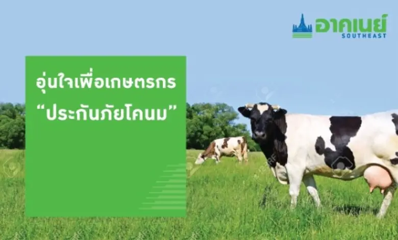 อาคเนย์ กลุ่มธุรกิจประกันและการเงิน หนึ่ง...