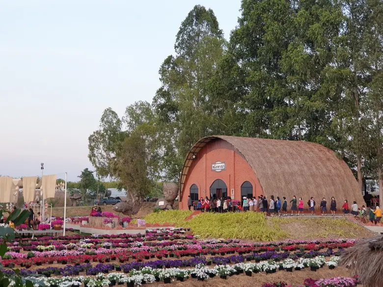 "เพ ลา เพลิน จ.บุรีรัมย์ เนรมิตทุ่งดอกพิทูเนียหลากสีสัน มอบความสุขให้คนไทยส่งท้ายปี" เที่ยวปลอดภัย ห่างไกลโควิด - 19