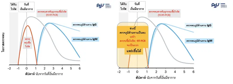 สงขลานครินทร์ แถลงข่าว "ชุดตรวจคัดกรองแอนติบอดีโควิด-19" แนะวิธีใช้งานอย่างถูกต้อง