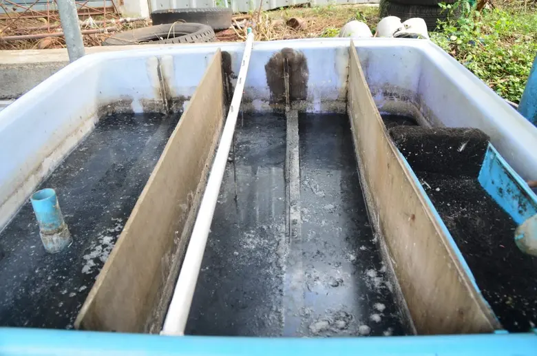 วศ.เปิดระบบำบัดน้ำเสียต้นทุนต่ำสำหรับผู้ทำมะพร้าวขาว