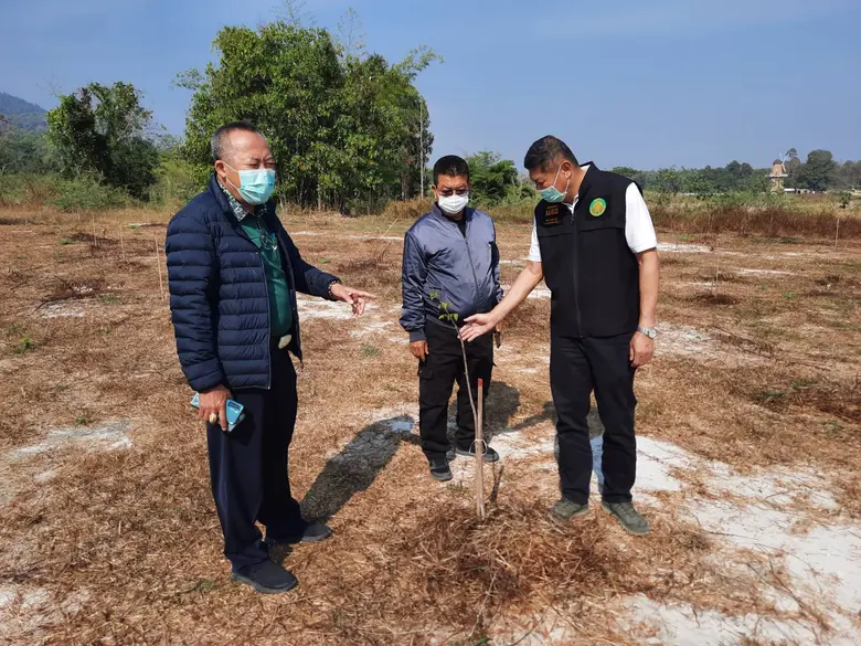 ปม. แจงโครงการปลูกป่าห้วยตึงเฒ่า จ.เชียงใ...