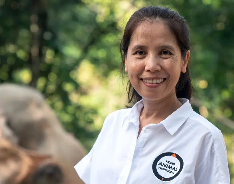 องค์กรพิทักษ์สัตว์แห่งโลก ประเทศไทยเปิดให...