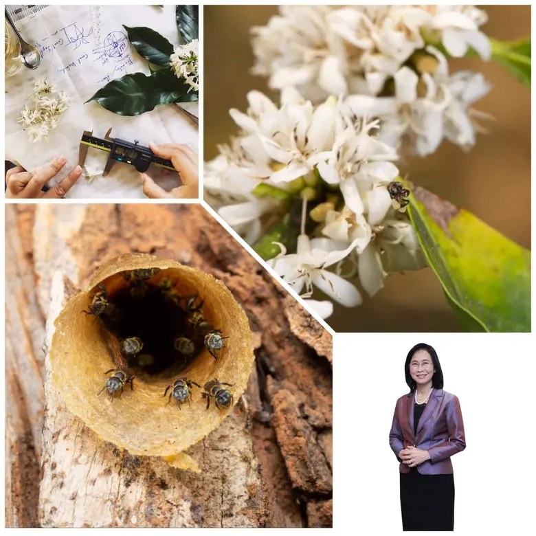 กระทรวงการอุดมศึกษา วิทยาศาสตร์ วิจัยและน...